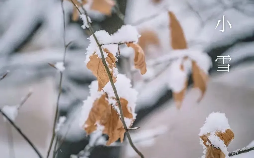 Neliels sniegs — kas jāzina